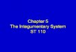 Chapter 5 The Integumentary System ST 110. Mosby items and derived items © 2008 by Mosby, Inc., an affiliate of Elsevier Inc. Slide 2 Objectives  Describe