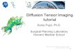Sonia Pujol, PhD -1- National Alliance for Medical Image Computing Neuroimage Analysis Center Diffusion Tensor Imaging tutorial Sonia Pujol, Ph.D. Surgical