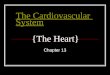 The Cardiovascular System The Cardiovascular System {The Heart} Chapter 13