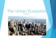 The Urban Ecosystem Chapter 4.7. Cities  Cities cause a lot of air and water pollution  Air pollutions comes from car exhaust, burning fuels, and gases