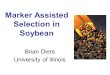Marker Assisted Selection in Soybean Brian Diers University of Illinois