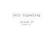 Cell Signaling Lecture 27 Chapter 16. Eyeless Cells can exist as single celled organisms or be part of a multi-cellular organism How do they know what