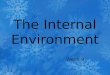 The Internal Environment Week 9. External and Internal Environments The internal environment is the interstitial fluid through which cells exchange substances