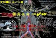 ZOOL 142 Human Anatomy & Physiology II Spring 2016