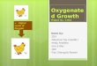 Oxygenated Growth Project no.: 1-014 Done by: 1O3 Aloysius Tay (Leader) Andy Andikko Lim Ji Wei 1O2 Tan Zheng Jie Rowell + Higher Level of Oxygen