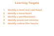 Learning Targets 1.Identify a mold and cast fossil. 2.Identify a trace fossil. 3.Identify a petrified fossil. 4.Identify preserved remains. 5.Identify