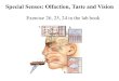 Special Senses: Olfaction, Taste and Vision