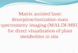 1 Matrix assisted laser desorption/ionization-mass spectrometry imaging (MALDI-MSI) for direct visualization of plant metabolites in situ