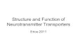 Structure and Function of Neurotransmitter Transporters Erice 2011