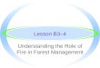 Understanding the Role of Fire in Forest Management