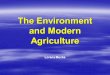 The Environment and Modern Agriculture Lorena Mucke