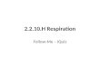 2.2.10.H Respiration Follow-Me – iQuiz. Q. Explain the role of ADP in relation to the small amount of energy released during the first stage of respiration