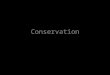 Conservation. Tate’s mission is drawn from the 1992 Museums and Galleries Act The four aims listed by the Act are: ■ care for, preserve and add to the