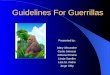 Guidelines For Guerrillas Presented by: Mary Alexander Curtis Johnson Adriana Pereira Liesje Sandler Lisa St. Andre Jorge Urby