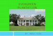 EVERGREEN PLANTATION BY: KEELY FISH. The Founding of the Evergreen Plantation Evergreen Plantation was built in 1790 as a Creole-style farmhouse. Although