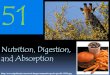 Nutrition, Digestion, and Absorption  51