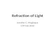 Refraction of Light Jennifer C. Maglaque CTP Feb 2010