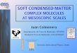_ _ _ __ _ _ _ _ __ _ _ _ _ __ _ _ _ _ __ _ _ _ _ __ _ _ _ _ __ _ _ _ _ SOFT CONDENSED MATTER COMPLEX MOLECULES AT MESOSCOPIC SCALES Juan Colmenero Departamento