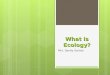 What is Ecology? Mrs. Sandy Gomez. What is Ecology?  The scientific study of:  Interactions among organisms  Interactions between organisms and their