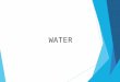 WATER. Water is the solvent of Life! Solute – substance dissolved in a solvent to form a solution Solvent – fluid that dissolves solutes