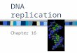 DNA replication Chapter 16. Summary of history Griffith Mice & Strep Transformation External DNA taken in by cell