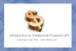 Introduction to Intellectual Property (IP) Download Copy from 