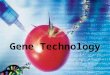 Gene Technology. What Is Gene Technology? Gene Tech  the alteration of genes inside a living organism to produce a specific results Examples? Examples?
