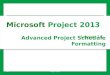 Advanced Project Schedule Formatting Lesson 14 © 2014, John Wiley & Sons, Inc.Microsoft Official Academic Course, Microsoft Project 20131 Microsoft Project