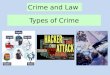 Types of Crime Crime and Law. Type of CrimeDescriptionExamples White-Collar Crime Blue-Collar Crime Corporate Crime Crime of Hatred Cybercrime Domestic