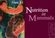N Topic 5.1 ammals in utrition M. Feeding/Ingestion Intake of food & processes that convert food substances into living matter Digestion Absorption Egestion