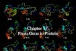 Chapter 17: From Gene to Protein. Figure 17-01 LE 17-2 Class I Mutants (mutation In gene A) Wild type Class II Mutants (mutation In gene B) Class III