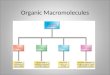 Organic Macromolecules. Organic Life Molecules Carbon based Macromolecules - polymers Found in all living things Many different functions