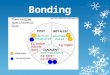 Bonding. Introduction to Bonding: Chemical bond: the force that holds two atoms together Bonds may be formed by the attraction of a cation to an anion