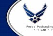 Force Packaging >. Overview  Force Packaging  Process of Force Packaging  Detached Support  Developing Packages