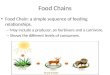 Food Chains Food Chain: a simple sequence of feeding relationships. – May include a producer, an herbivore and a carnivore. – Shows the different levels