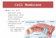 Cell Membrane What is it? – Barrier that separates cell from external environment – Composed of two phospholipid layers Other molecules are embedded in