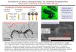 Synthesis of Janus Nanoparticles as Colloidal Amphiphiles Jeffrey Pyun, University of Arizona, DMR 1307192 We have demonstrated the ability to make novel
