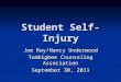 Student Self-Injury Joe Ray/Nancy Underwood Tombigbee Counseling Association September 30, 2011