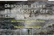 Okanogan River Fish Update for the IOLBC Okanogan Basin Monitoring and Evaluation Program (OBMEP) 1 2015 Osoyoos Lake Water Science Forum Presenter: John