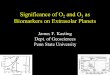 Significance of O 2 and O 3 as Biomarkers on Extrasolar Planets James F. Kasting Dept. of Geosciences Penn State University