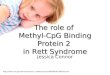 The role of Methyl-CpG Binding Protein 2 in Rett Syndrome Jessica Connor