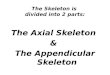 The Skeleton is divided into 2 parts: The Axial Skeleton & The Appendicular Skeleton