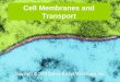 Cell Membranes and Transport. A Cell is a Container A cell is the basic unit of life A cell and some organelles are containers formed by one or more membranes