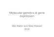Molecular genetics & gene expression Mat Halter and Neal Stewart 2016