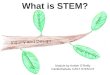 Science Technology Inquiry and Design Math Engineering What is STEM? Module by Amber O’Reilly Castle/Kahuku CAST STEM RT