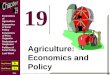 Copyright 2008 The McGraw-Hill Companies 19-1 Economics of Agriculture Economics of Farm Policy Economics of Price Supports Reduction of Surpluses Politics