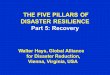 THE FIVE PILLARS OF DISASTER RESILIENCE Part 5: Recovery Walter Hays, Global Alliance for Disaster Reduction, Vienna, Virginia, USA