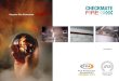 Passive Fire Protection SEMINAR SUMMARY. Assess property protection needs
