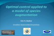 Erin N. Bodine Co-authors: Suzanne Lenhart & Louis Gross The Institute for Environmental Modeling Grant # IIS-0427471