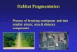 Habitat Fragmentation Process of breaking contiguous unit into smaller pieces; area & distance components